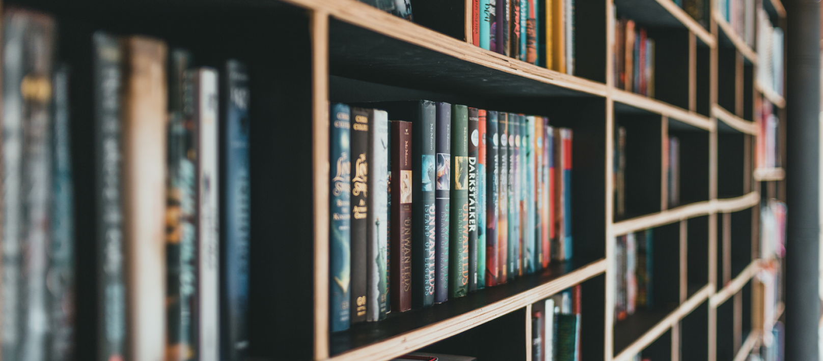 Books on library shelves